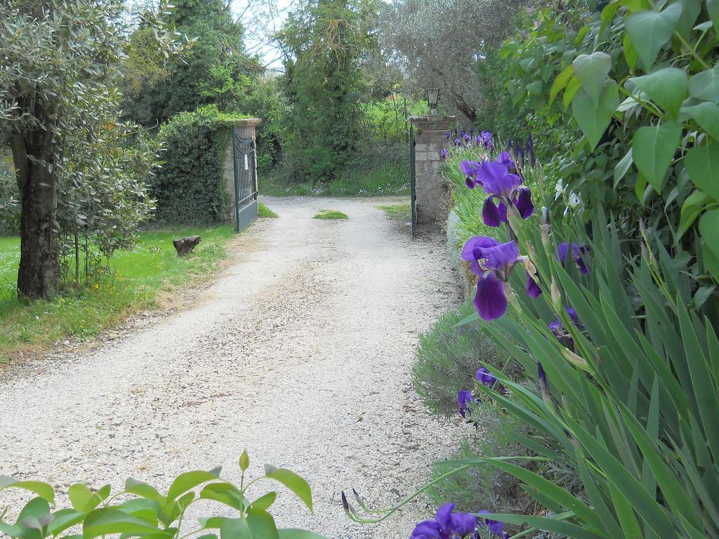 Villa La Badiola Chiusi Exterior foto